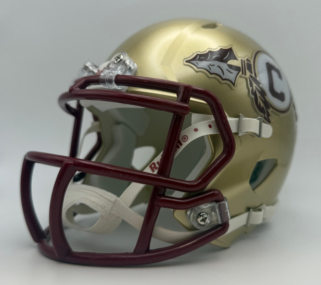 Creekside Seminoles HS (GA) 2018-2019